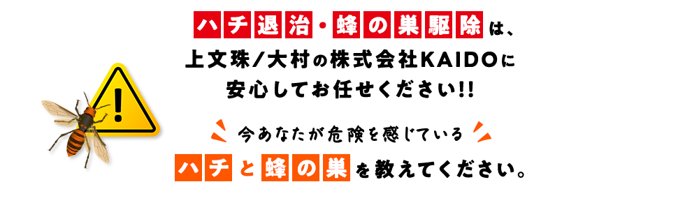 ハチ退治・蜂の巣駆除は上文珠/大村の株式会社KAIDOに安心してお任せください