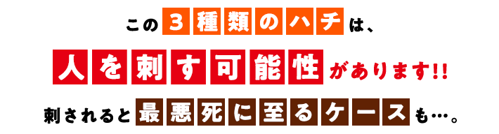 この3種類のハチは人を刺す可能性があります！！刺されると最悪死に至るケースも、、、