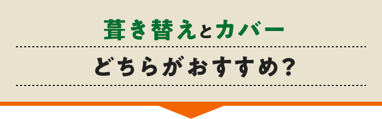 葺き替えとカバーどちらがおすすめ？