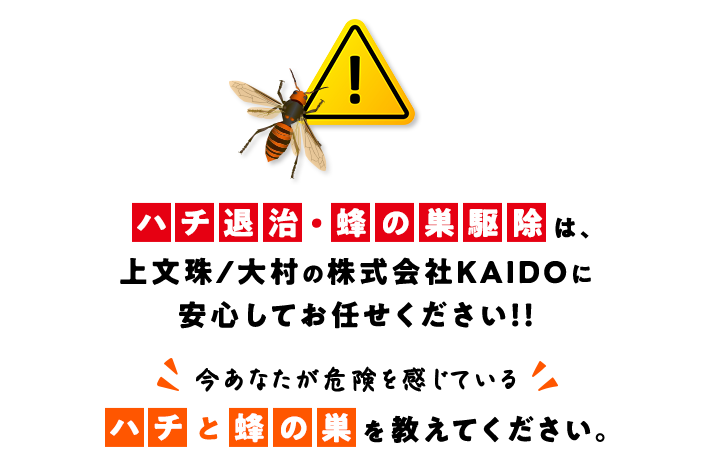 ハチ退治・蜂の巣駆除は上文珠/大村の株式会社KAIDOに安心してお任せください