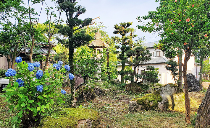 造園・蜂の巣駆除